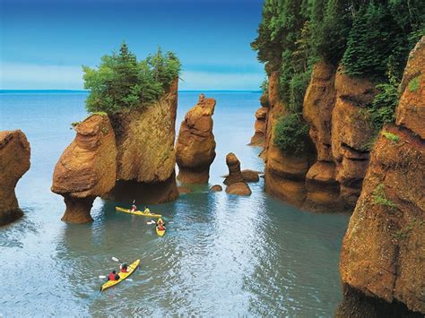 Bay Of Fundy - The Must Do Excursion